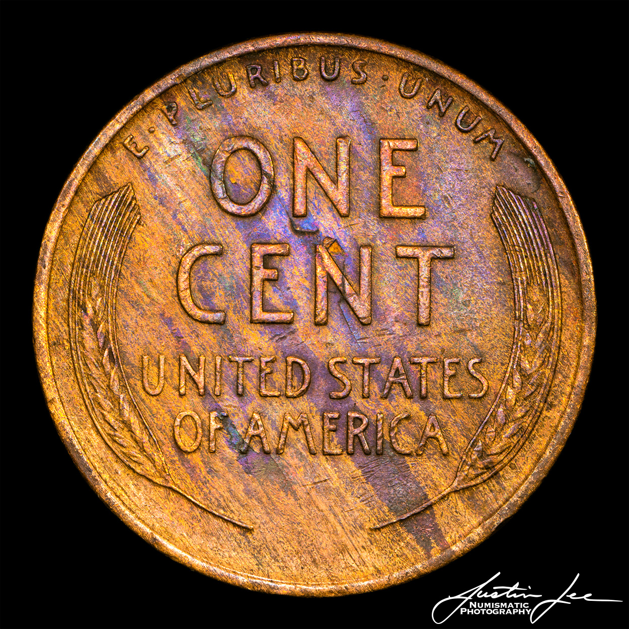 1909-Lincoln-Cent-woodie-Reverse.jpg