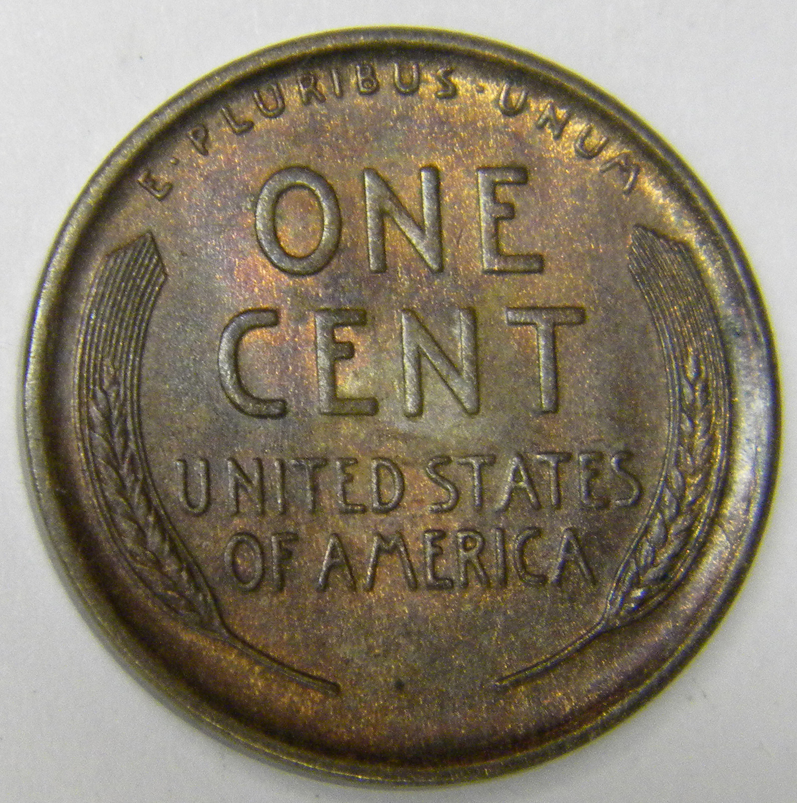 1909 Lincoln Wheat Penny Reverse2.jpg