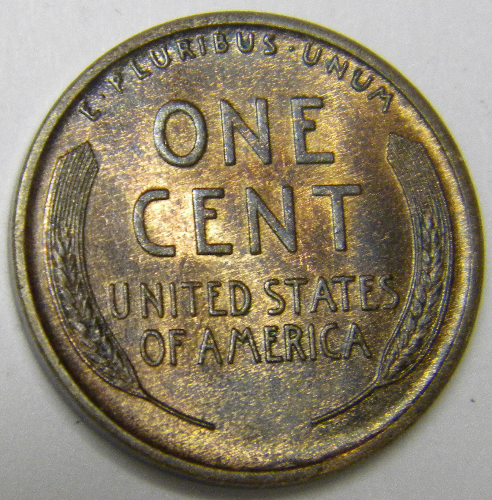 1909 Lincoln Wheat Penny Reverse5.jpg