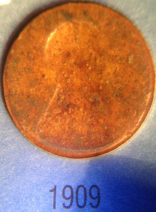1909 opt.jpg