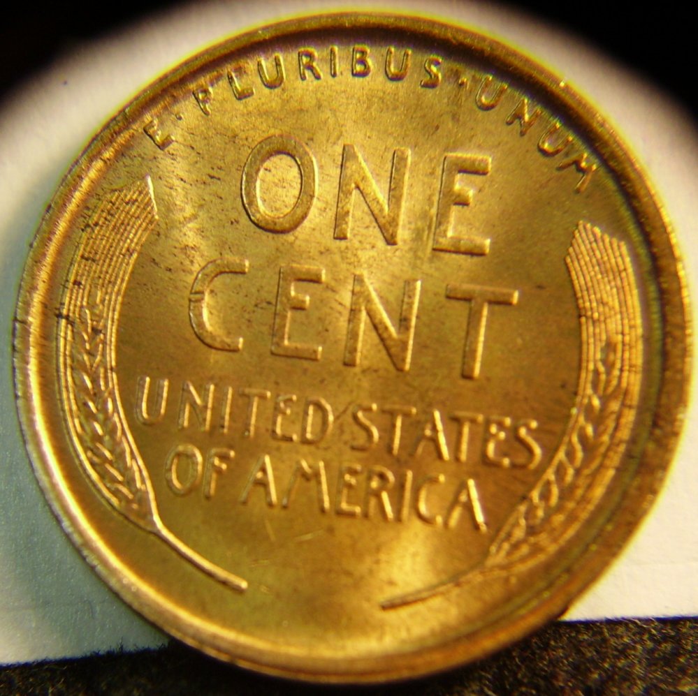 1909 -P Wheat cent rev.jpg