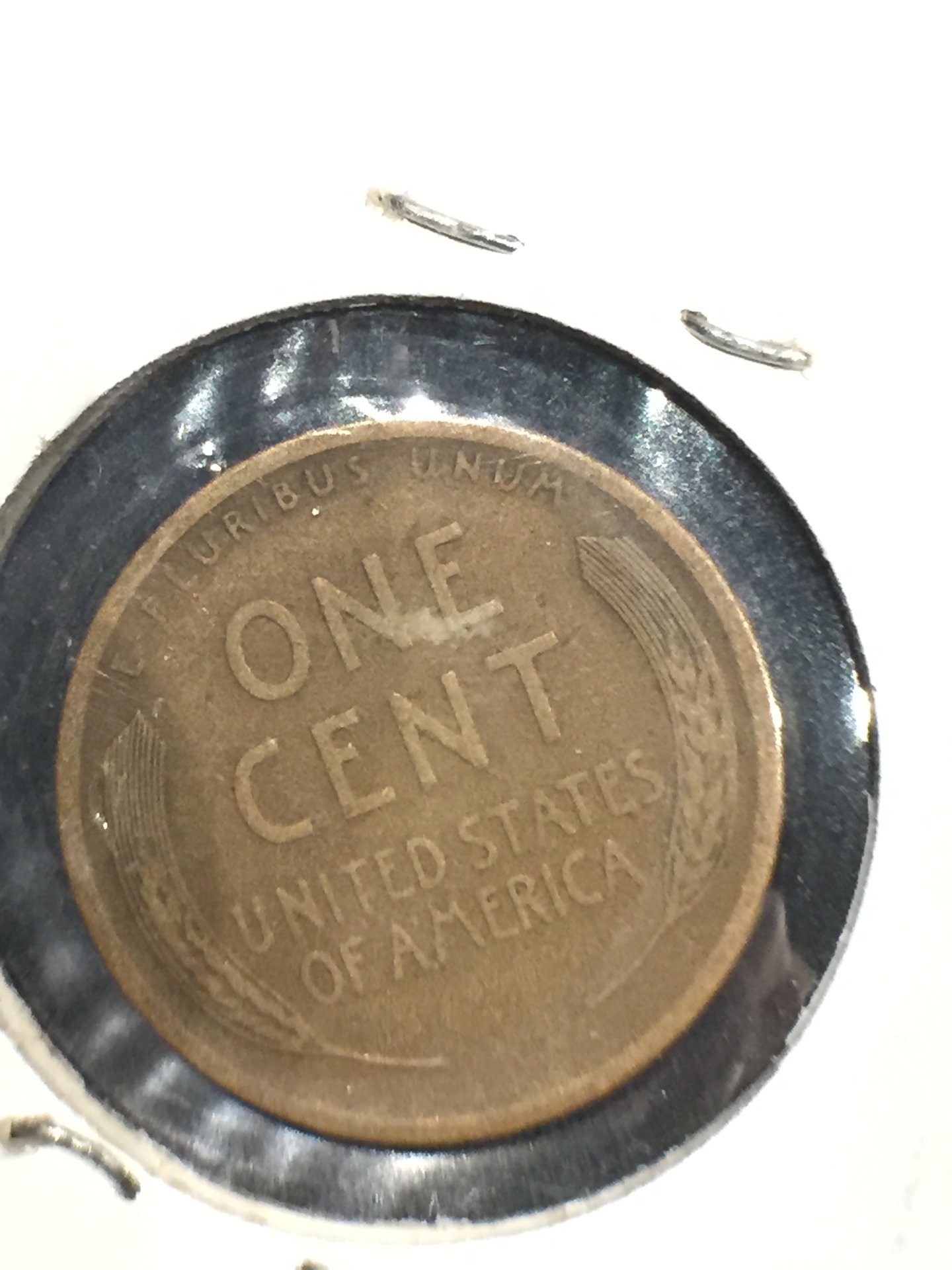 1909-S 2.jpeg