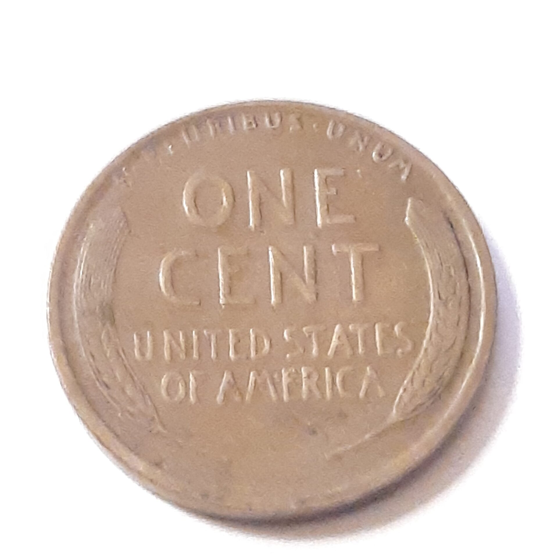 1909-s rev.jpg