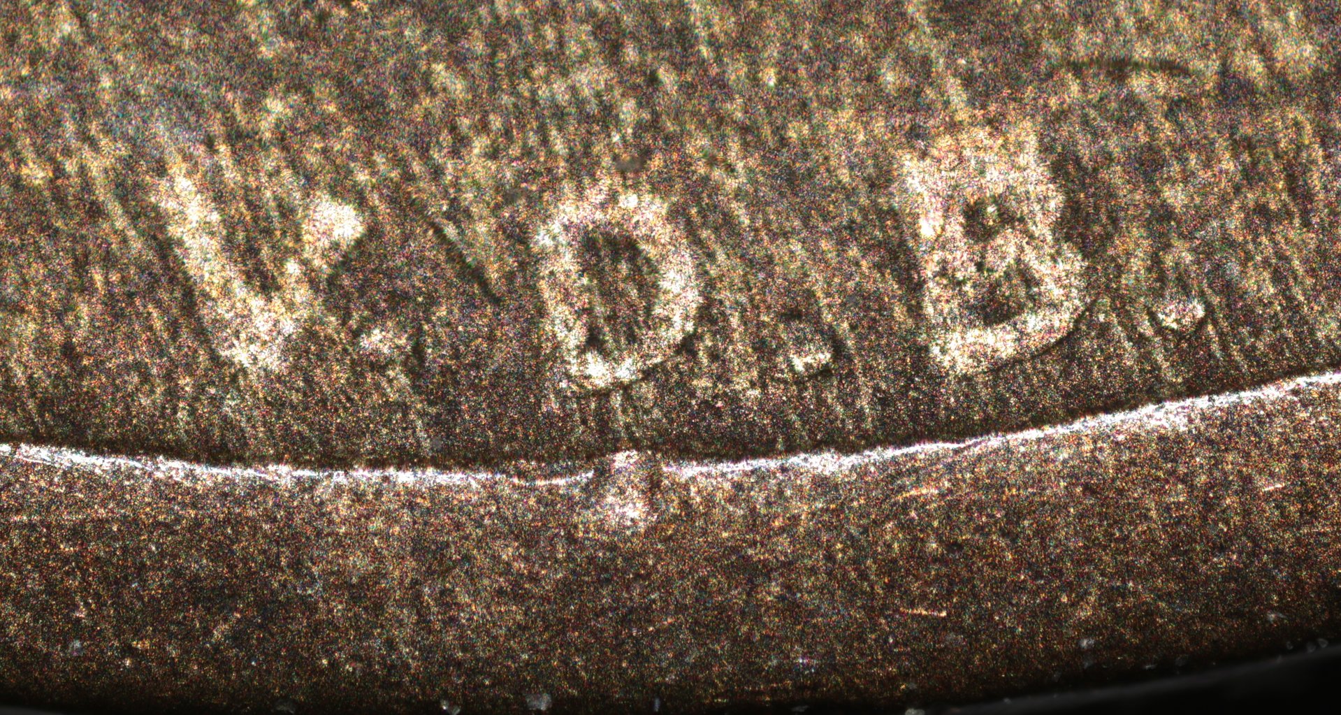1909 S VDB.JPG