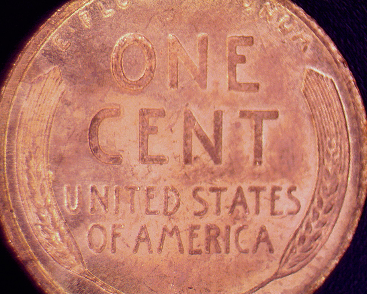 1909 S VDB Penny (5).jpg