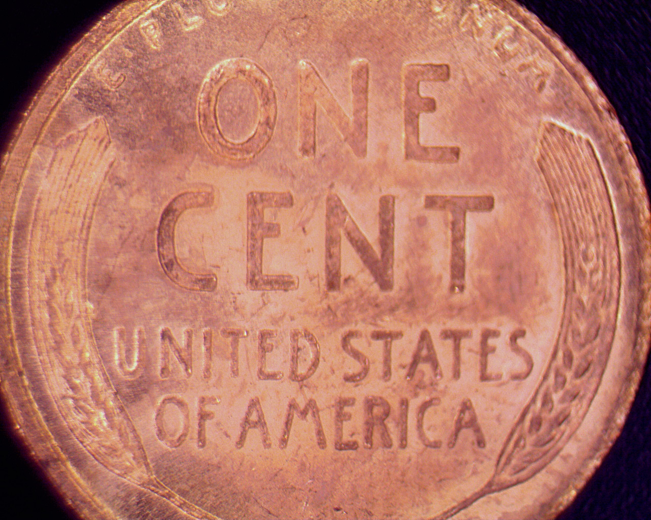 1909 S VDB Penny (5).jpg