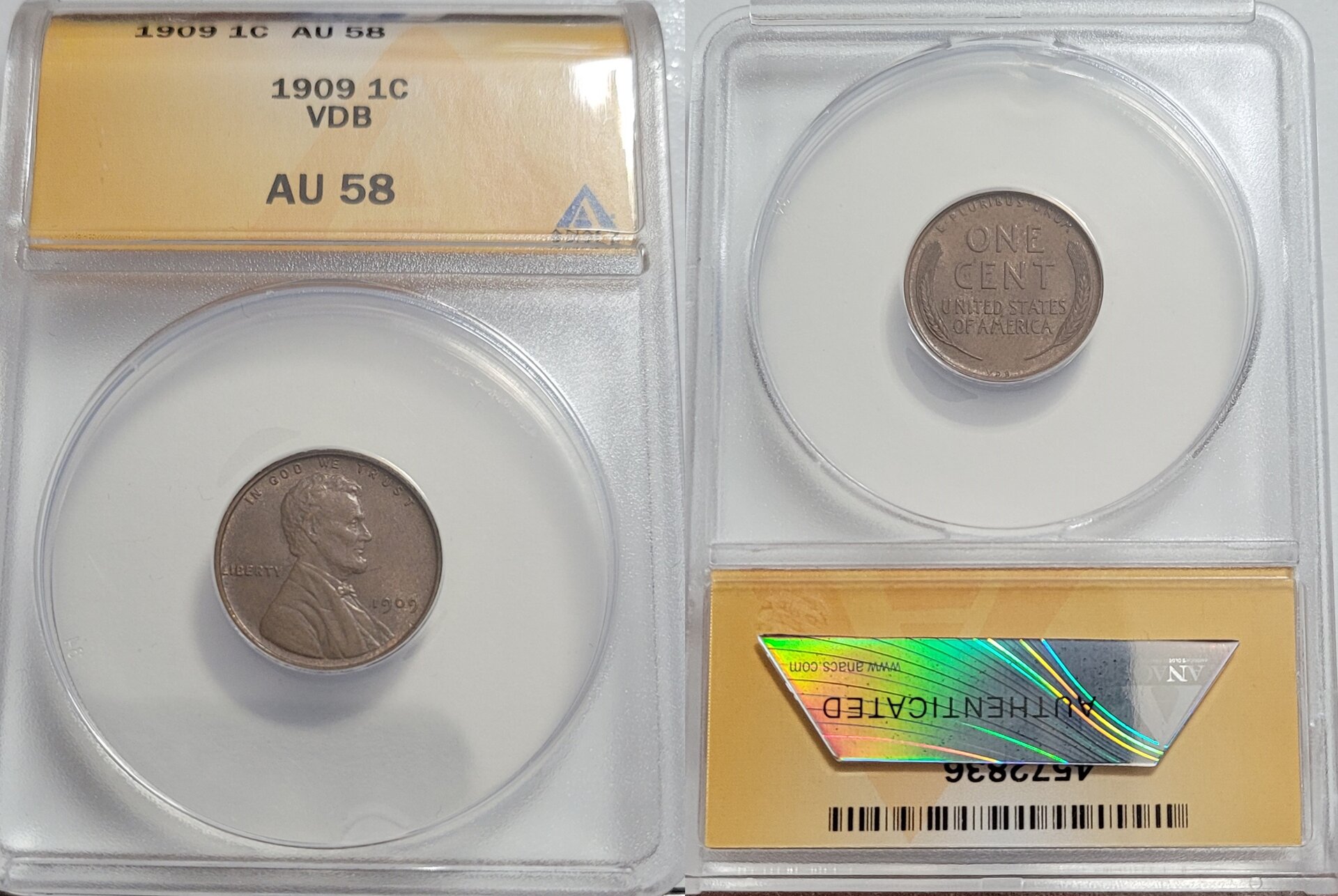 1909 VDB ANACS 1-horz.jpg