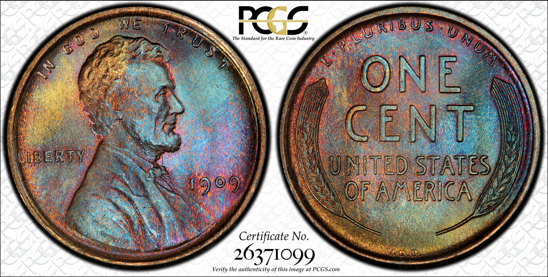1909 VDB.jpg