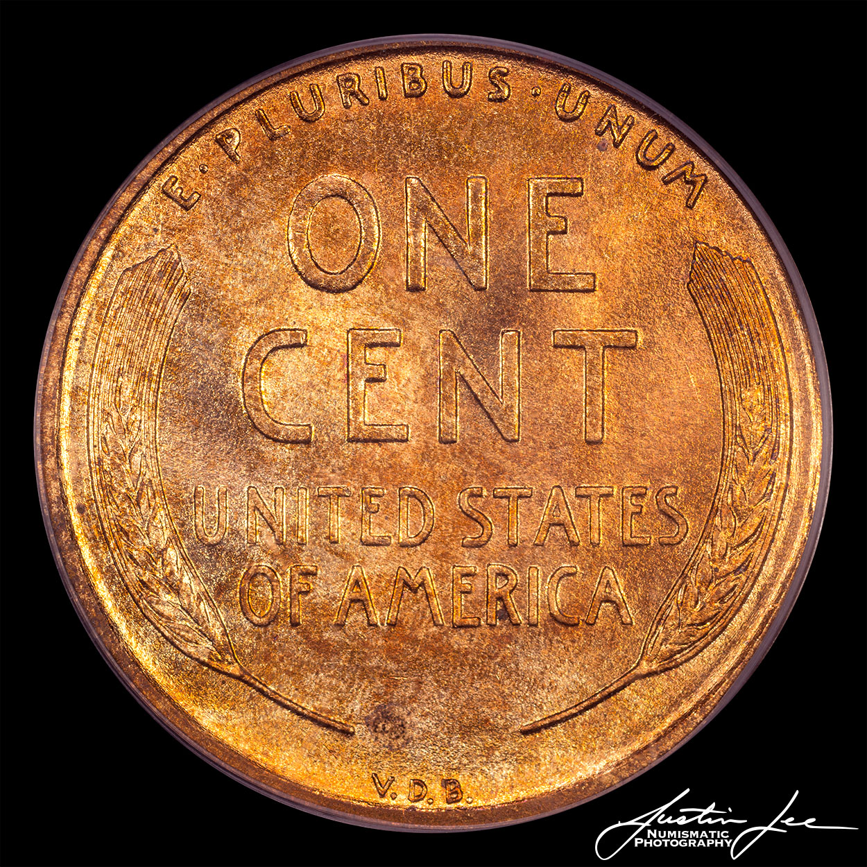 1909-VDB-Lincoln-Cent-Reverse.jpg