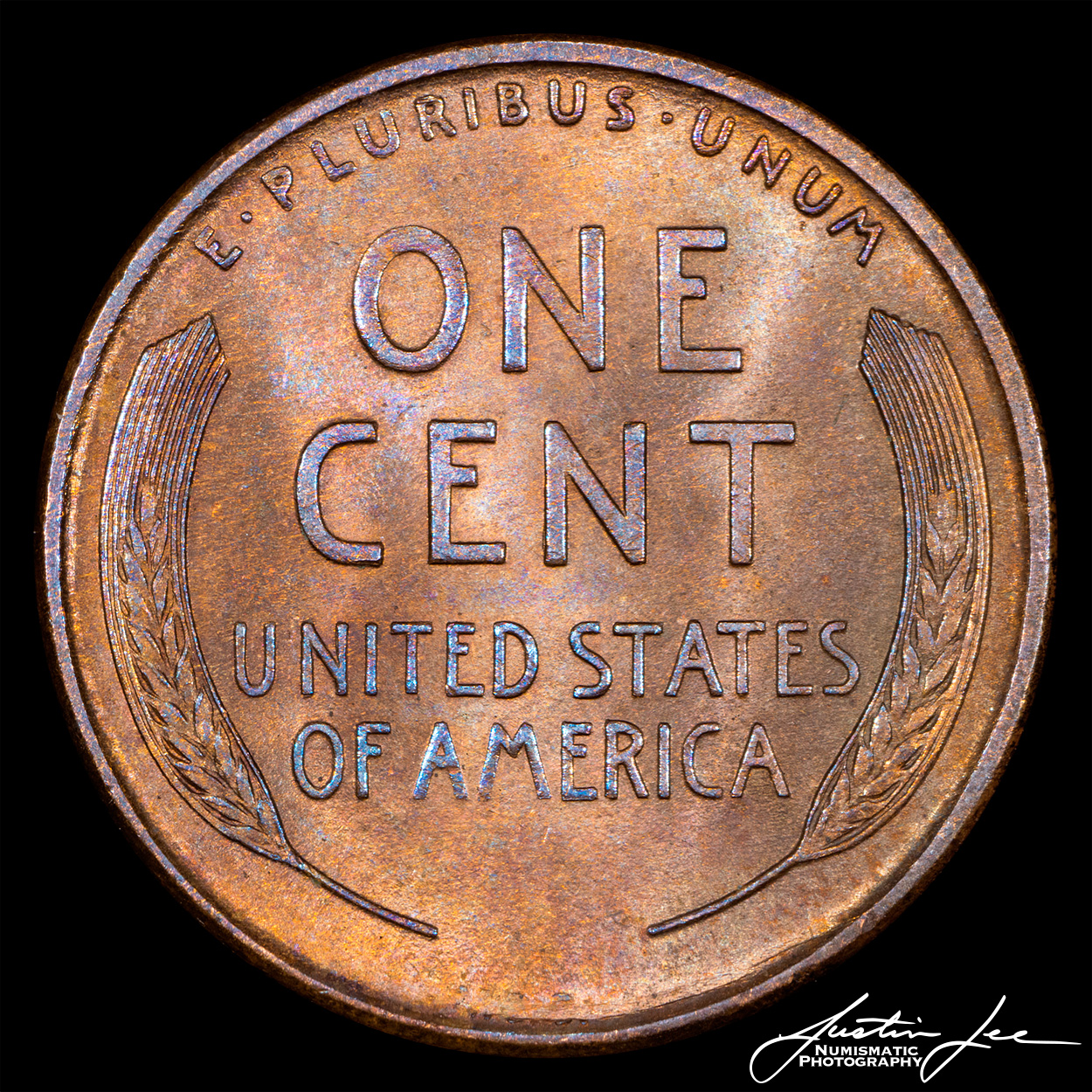 1909-VDB-Lincoln-Cent-Reverse.jpg