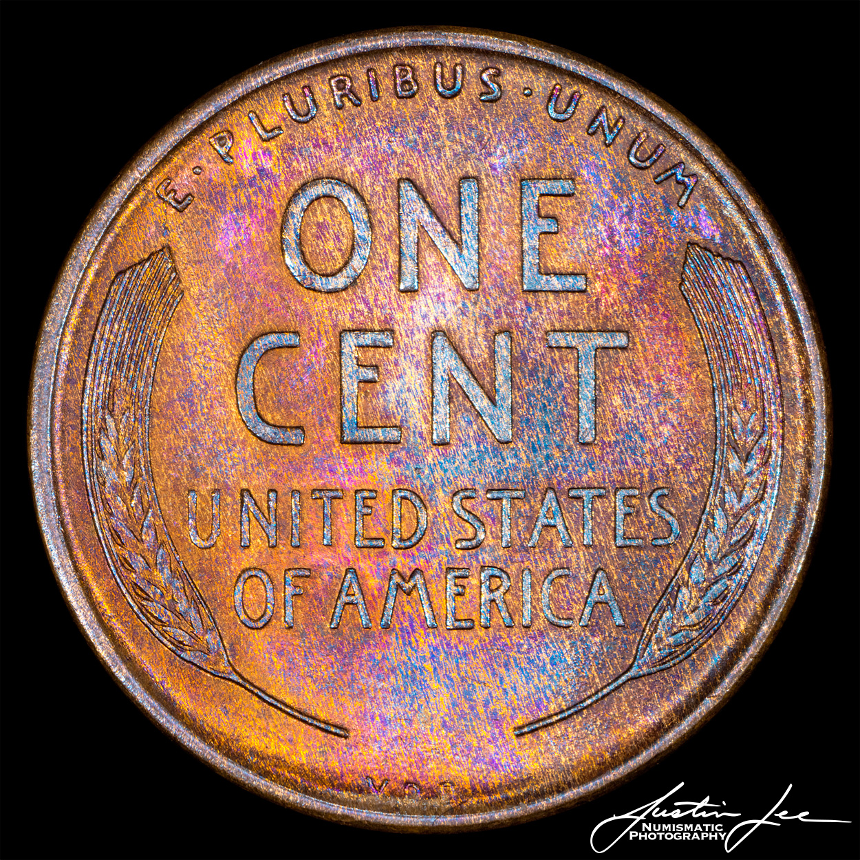 1909-VDB-Lincoln-Cent-Reverse.jpg