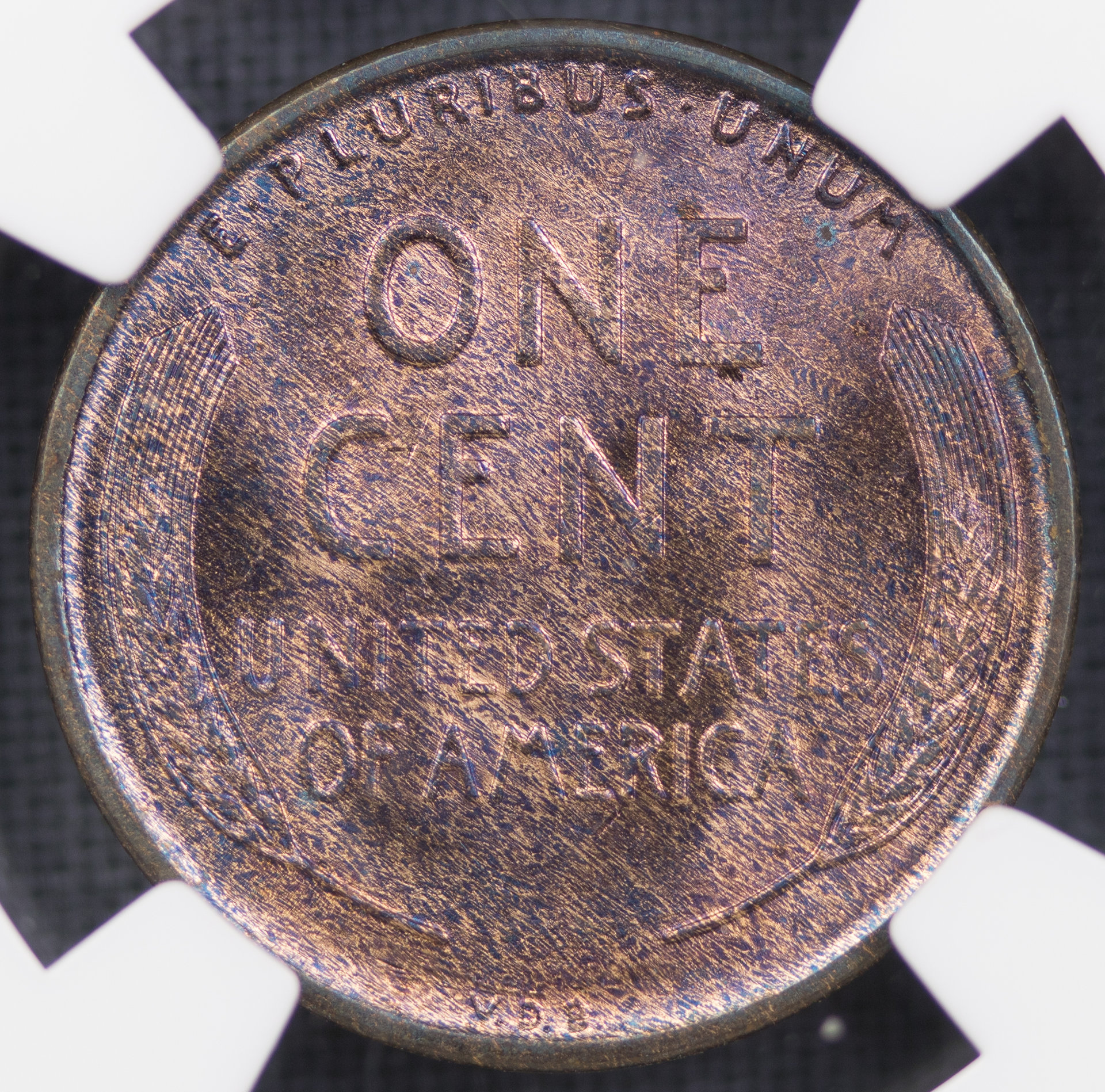1909-vdb n-ms64-rb srbg - 1.jpg
