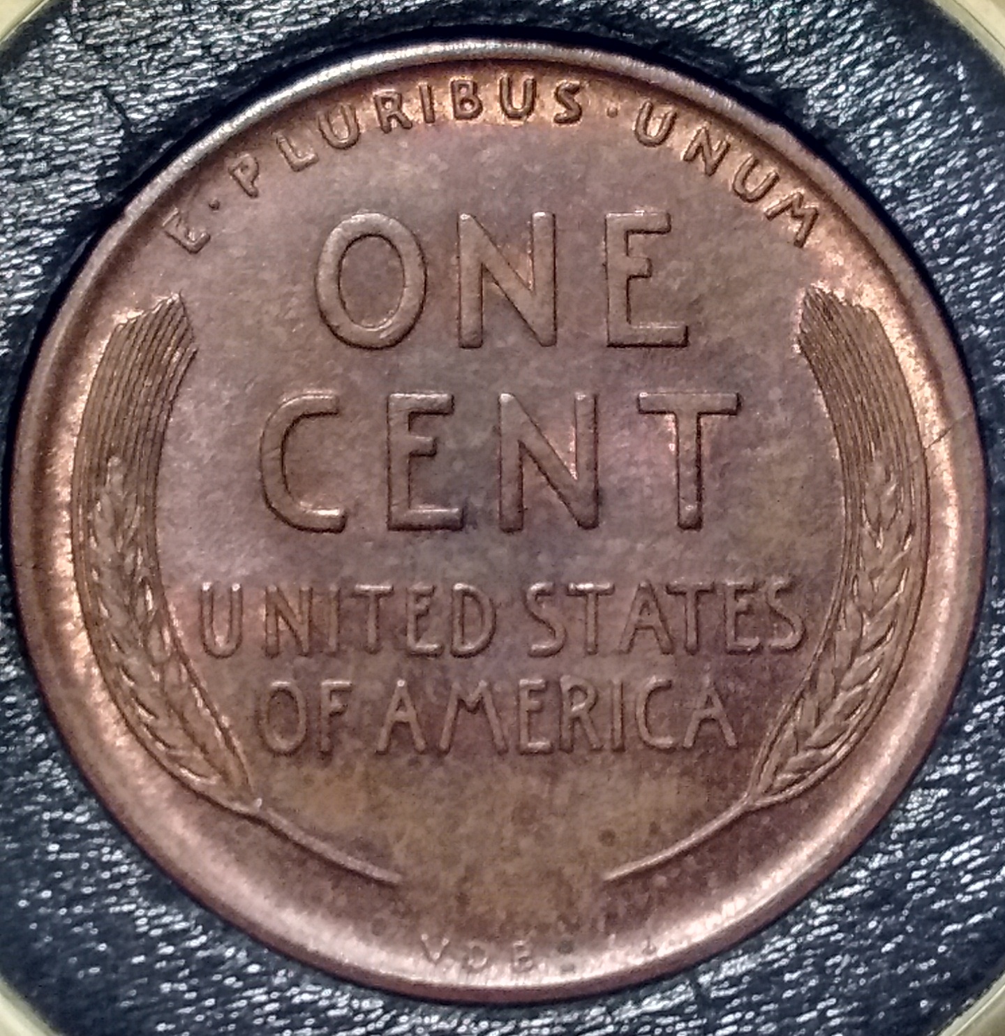 1909 vdb rev.jpg