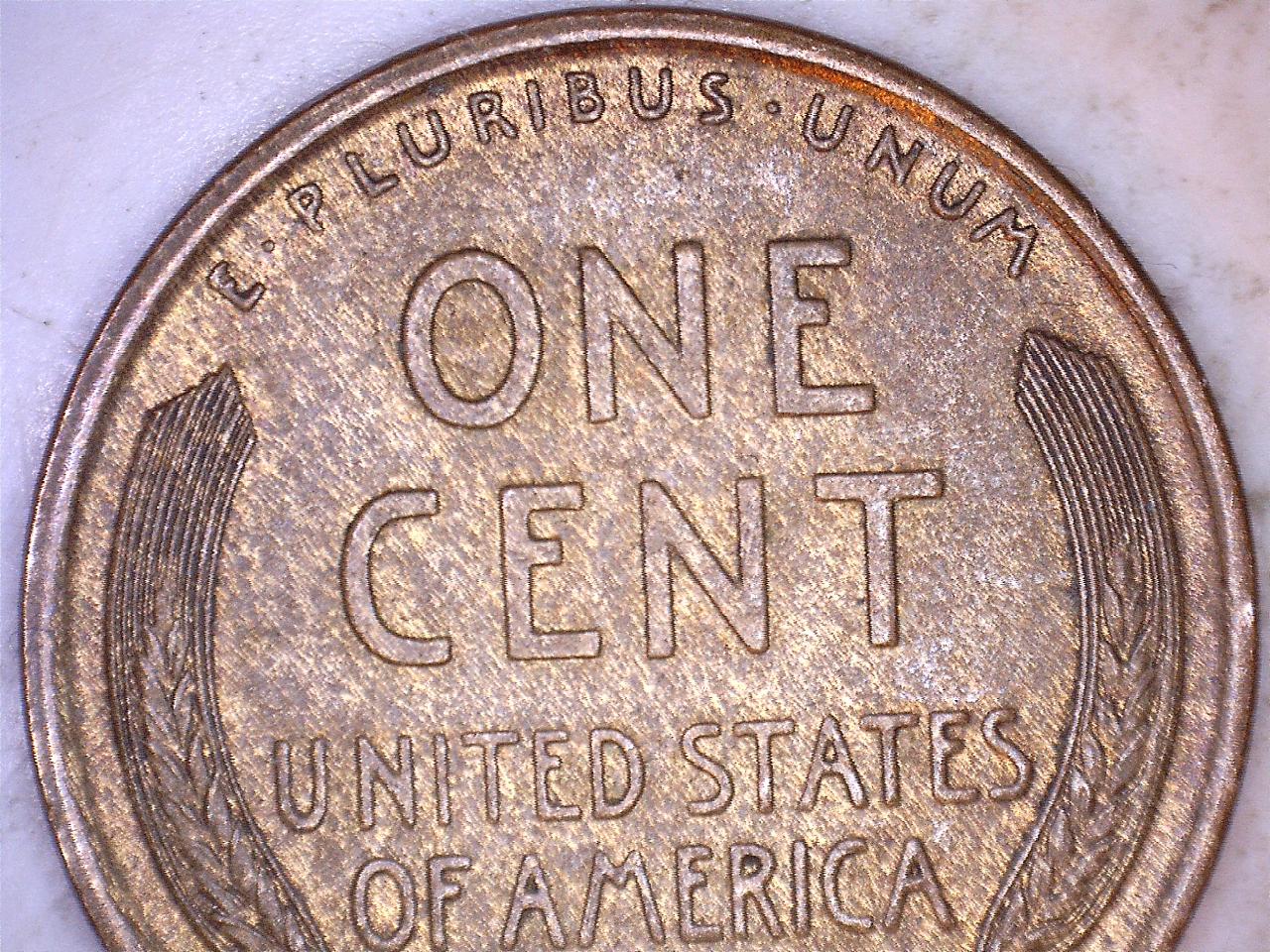 19093.jpg