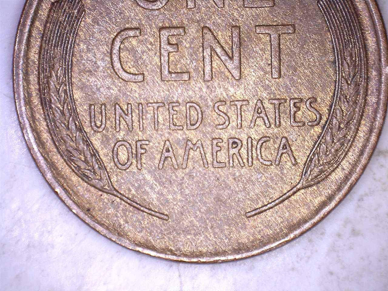 19094.jpg