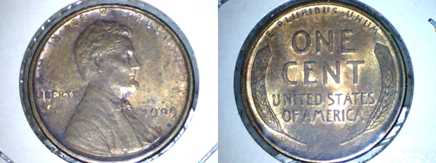 1909VDB-OBV022-horz.jpg
