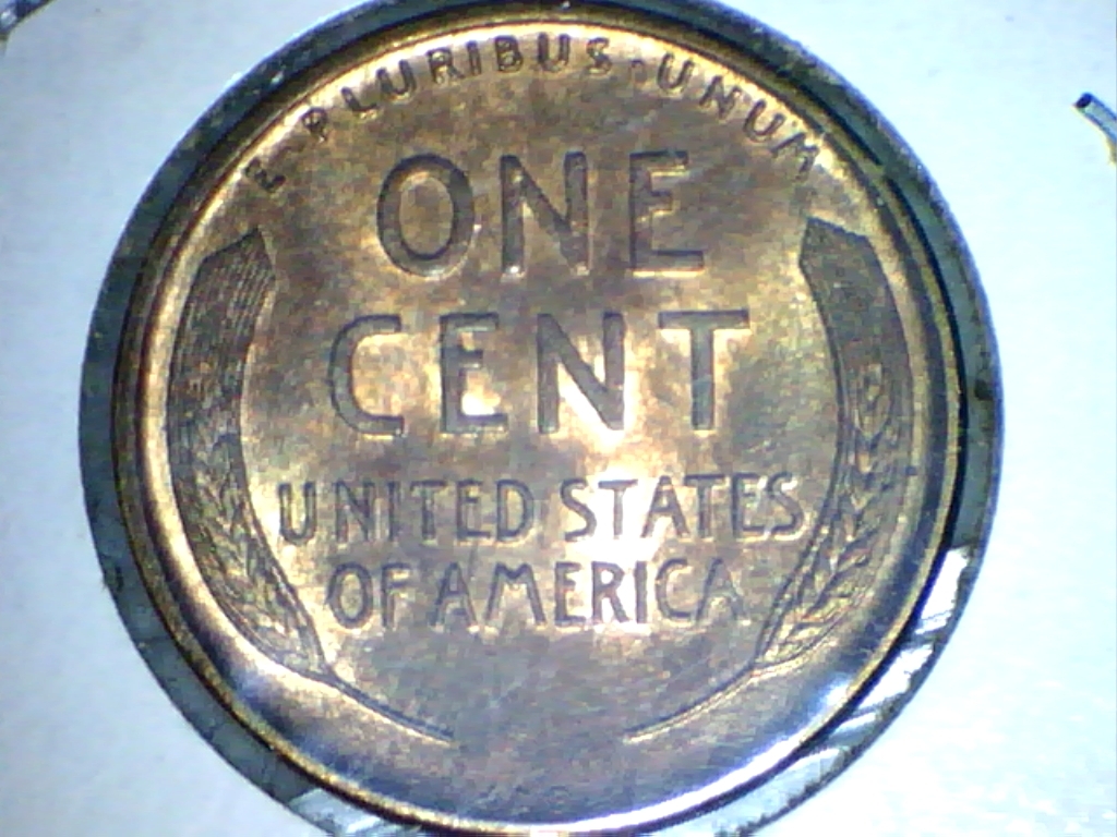1909VDB-REV022.jpg