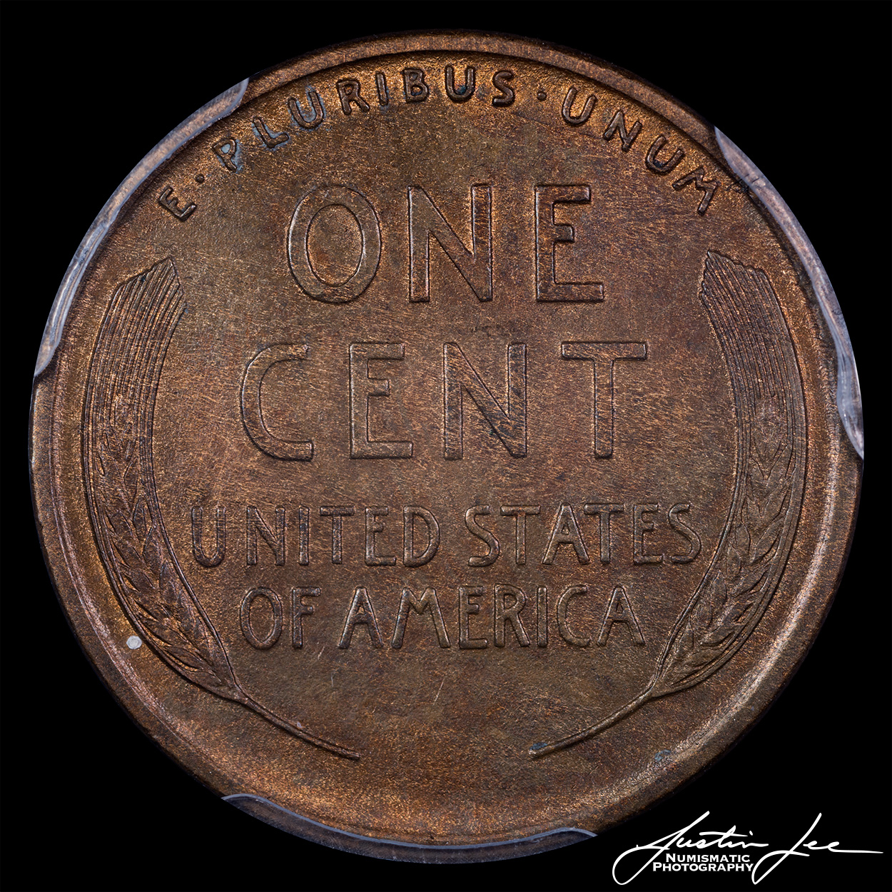 1910-S-Lincoln-Cent-Reverse.jpg