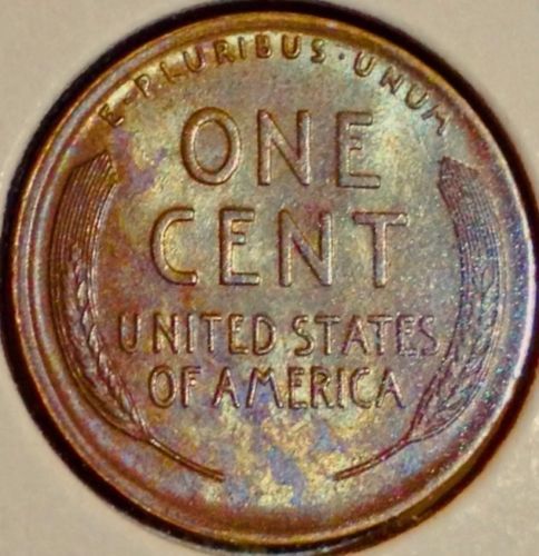 19102.jpg
