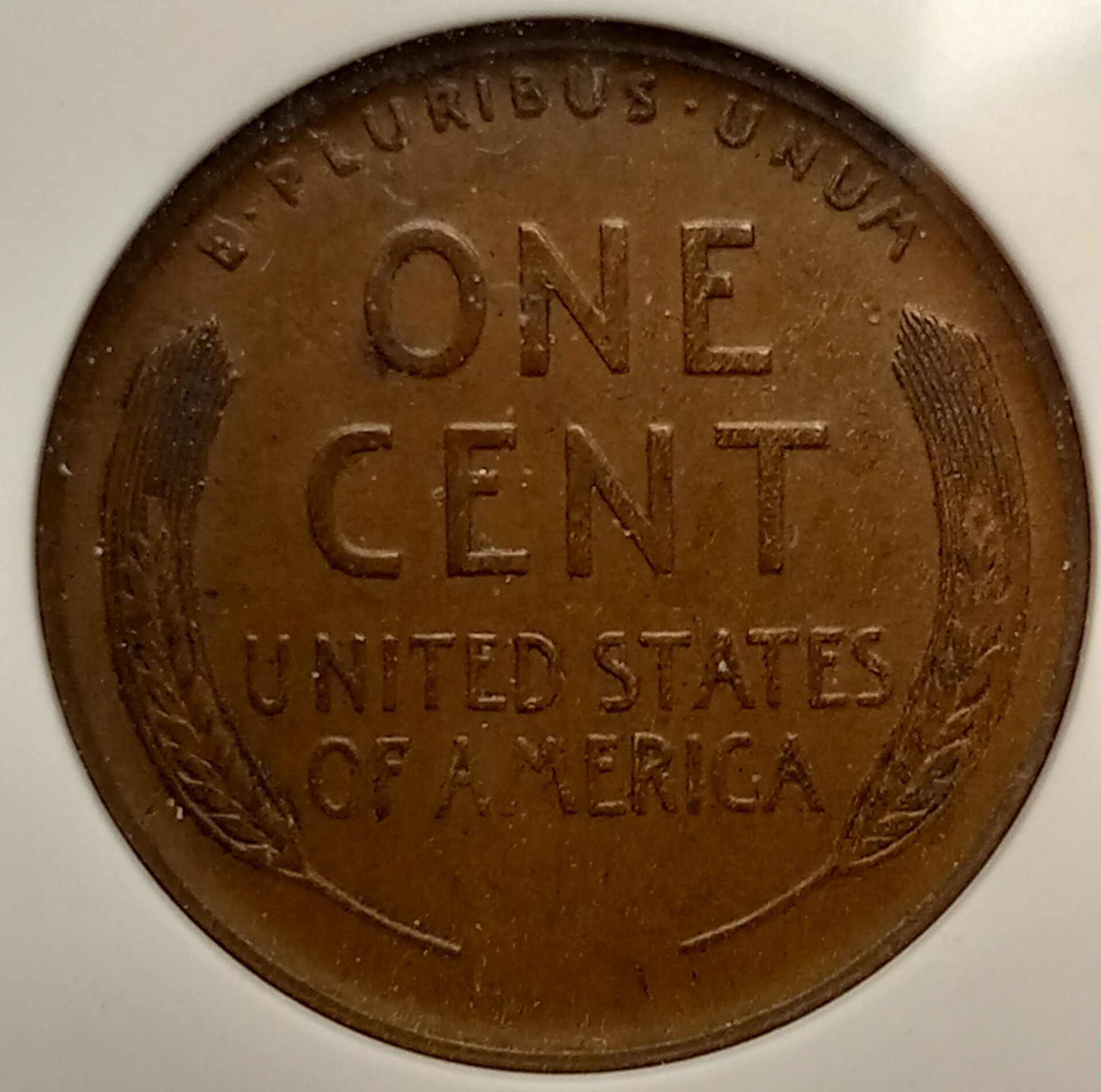 1910_S_1C_REV_001_ANACS_AU55.jpg