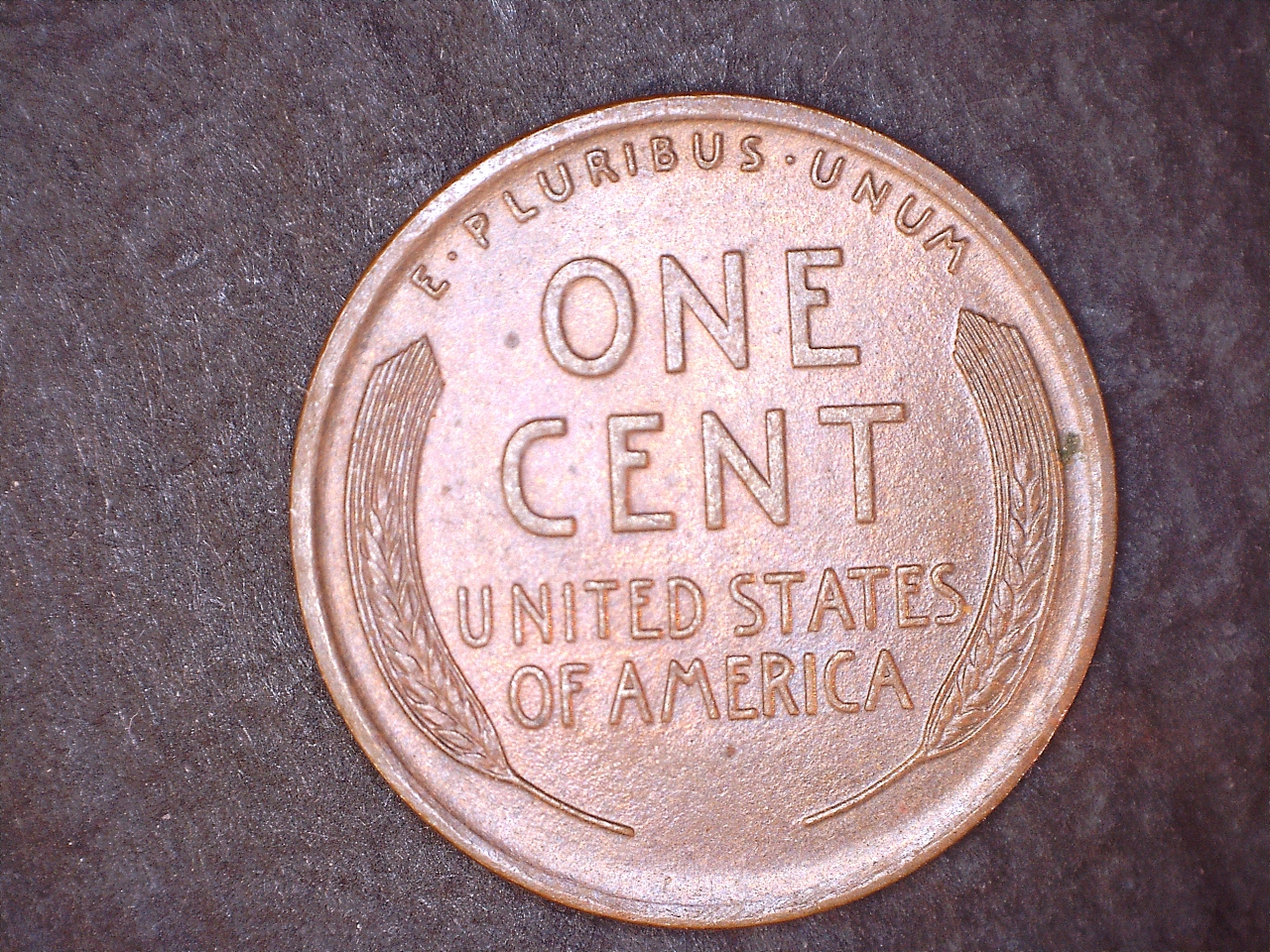 1910r  1.jpg