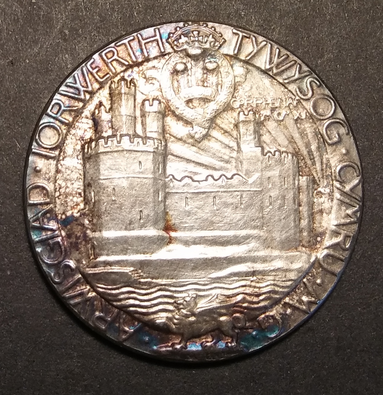 1911 Prince of Wales Investiture Rev..jpg