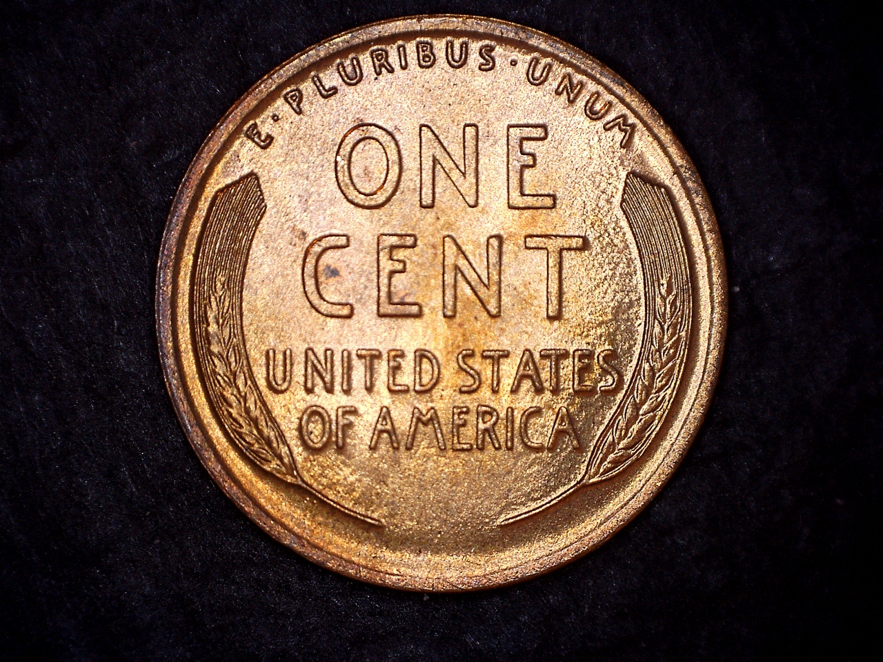 1911 r.jpg