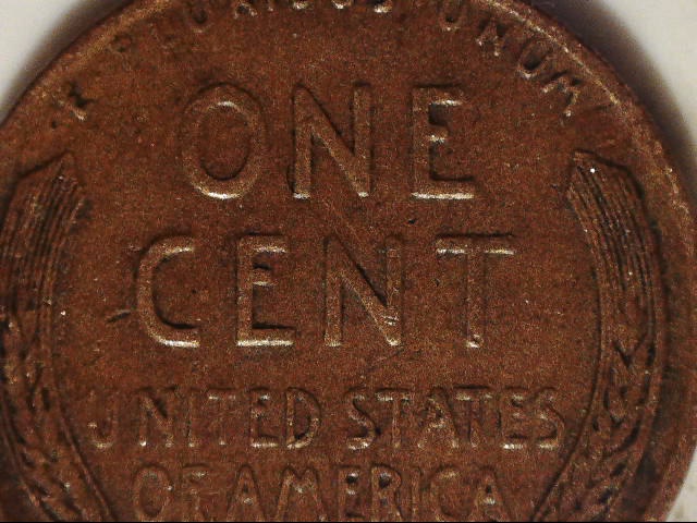 191111185535766.jpg
