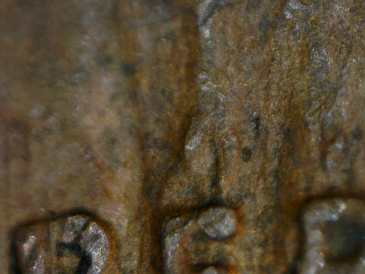 19111204731854.jpg