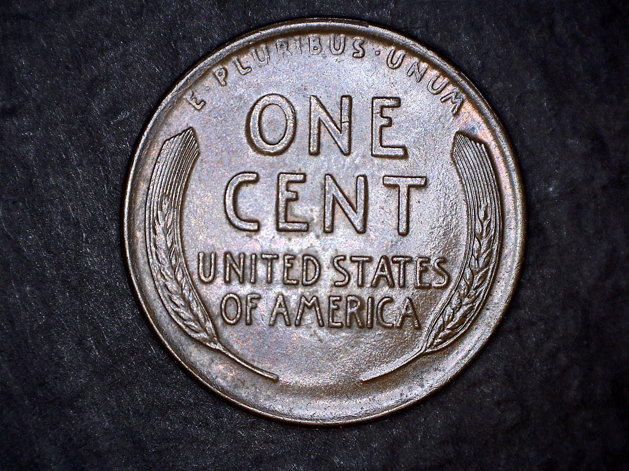 1911D r.jpg