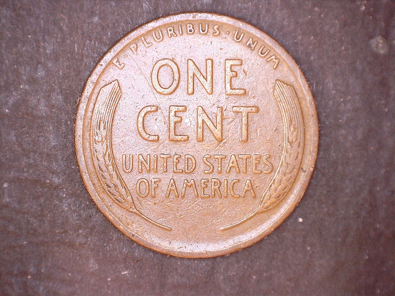 1911r.jpg