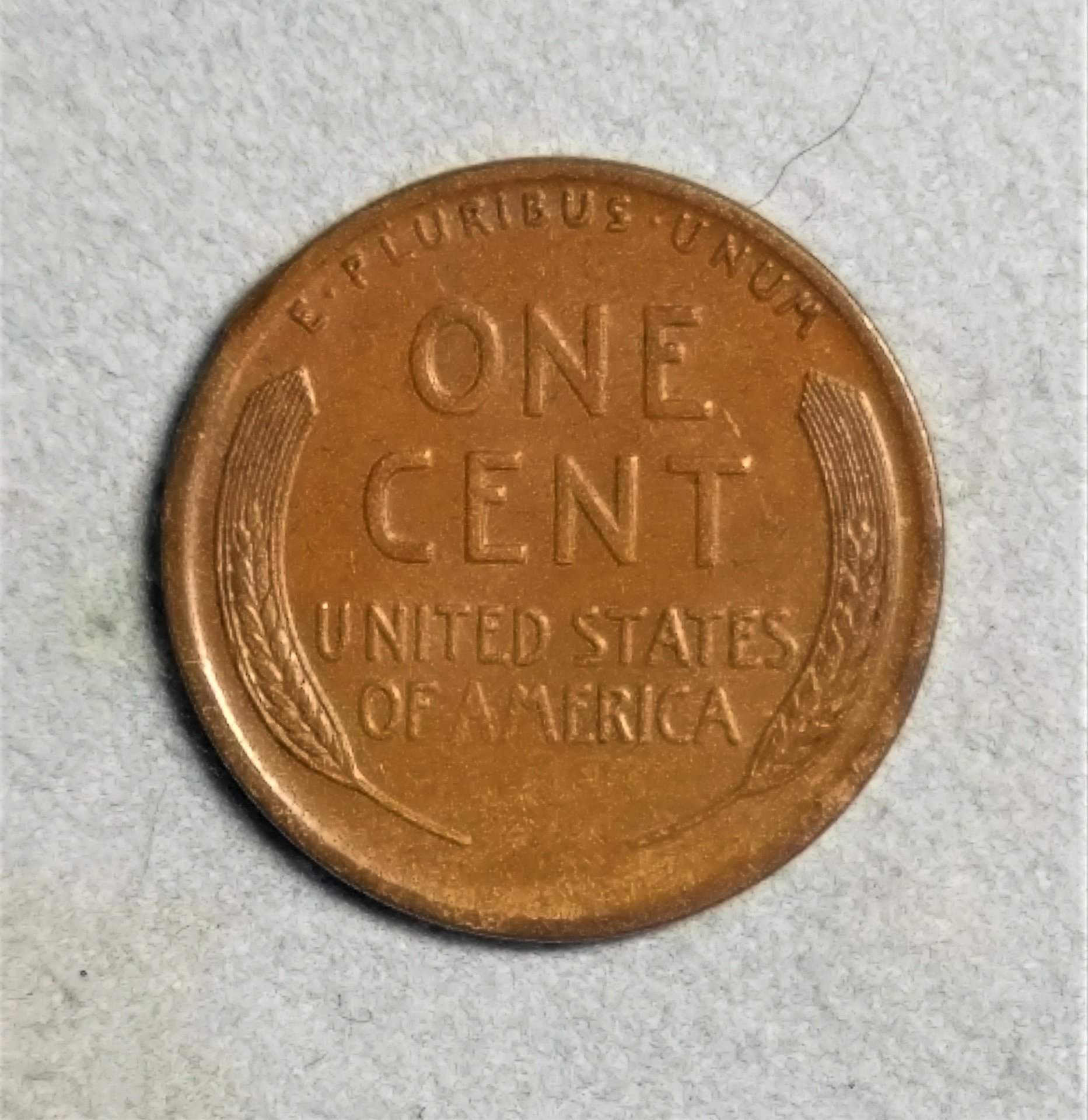 1912-D_Reverse.jpg