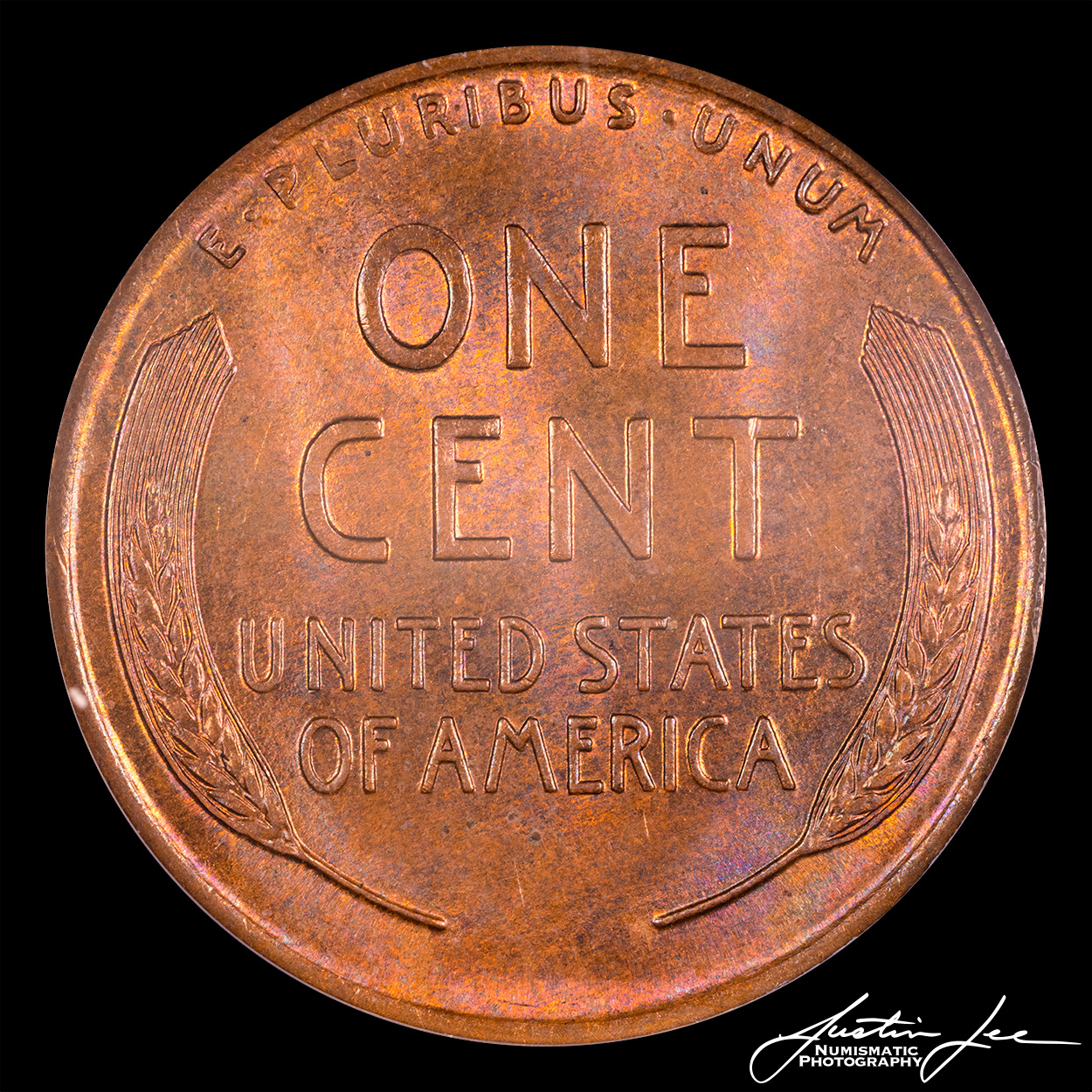 1912-Lincoln-Cent-Reverse.jpg