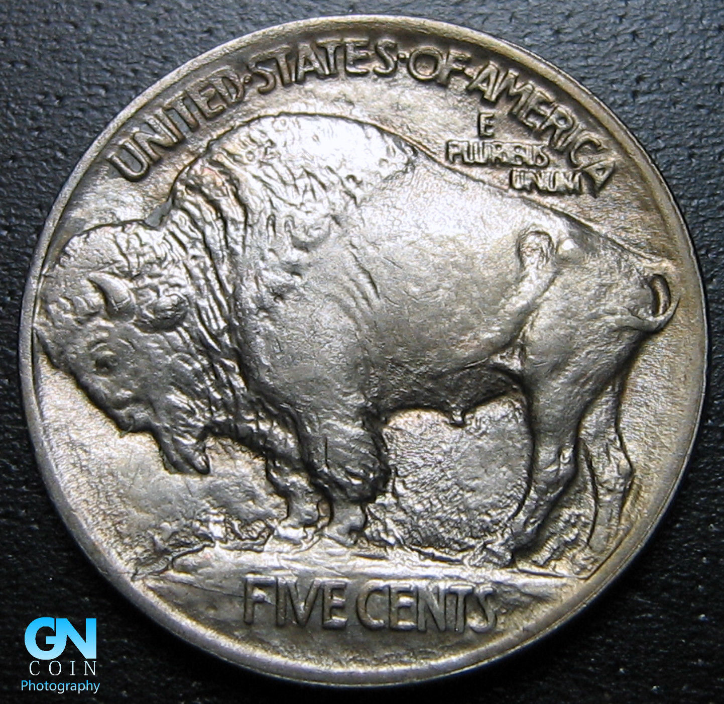 1913 Buffalo Type 1 Reverse.jpg