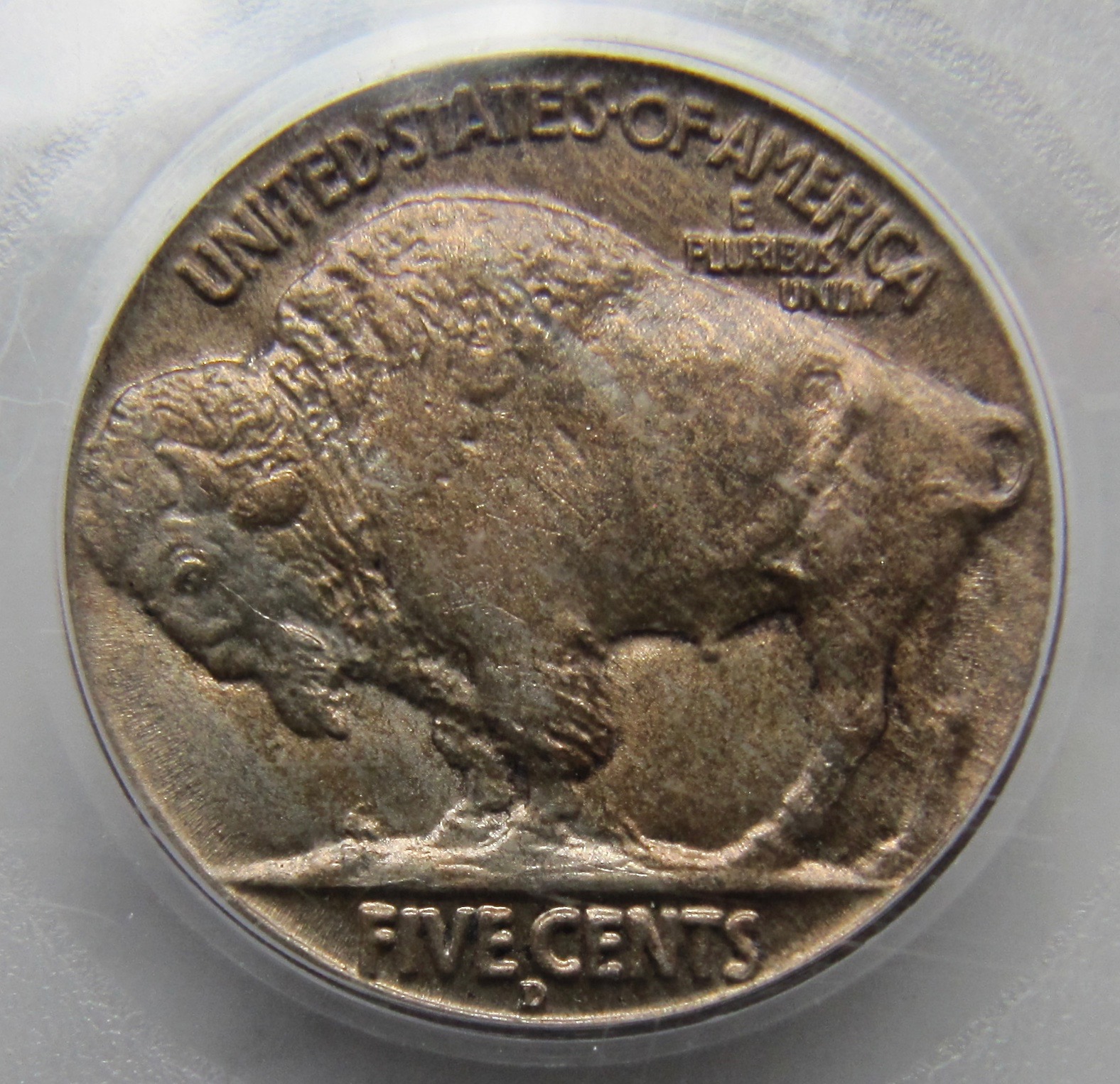 1913 D Buffalo nickel rev1 N - 1.jpg