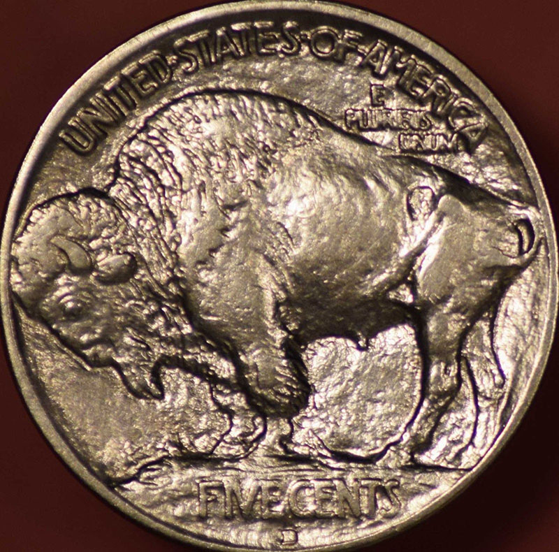 1913-D-Buffalo-Type-1-Reverse-Sellers-Pic.jpg