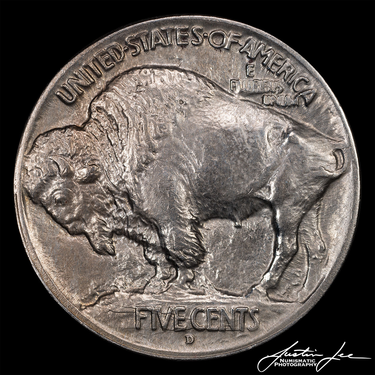 1913-D-Type-1-Buffalo-Nickel-Reverse-#2.jpg