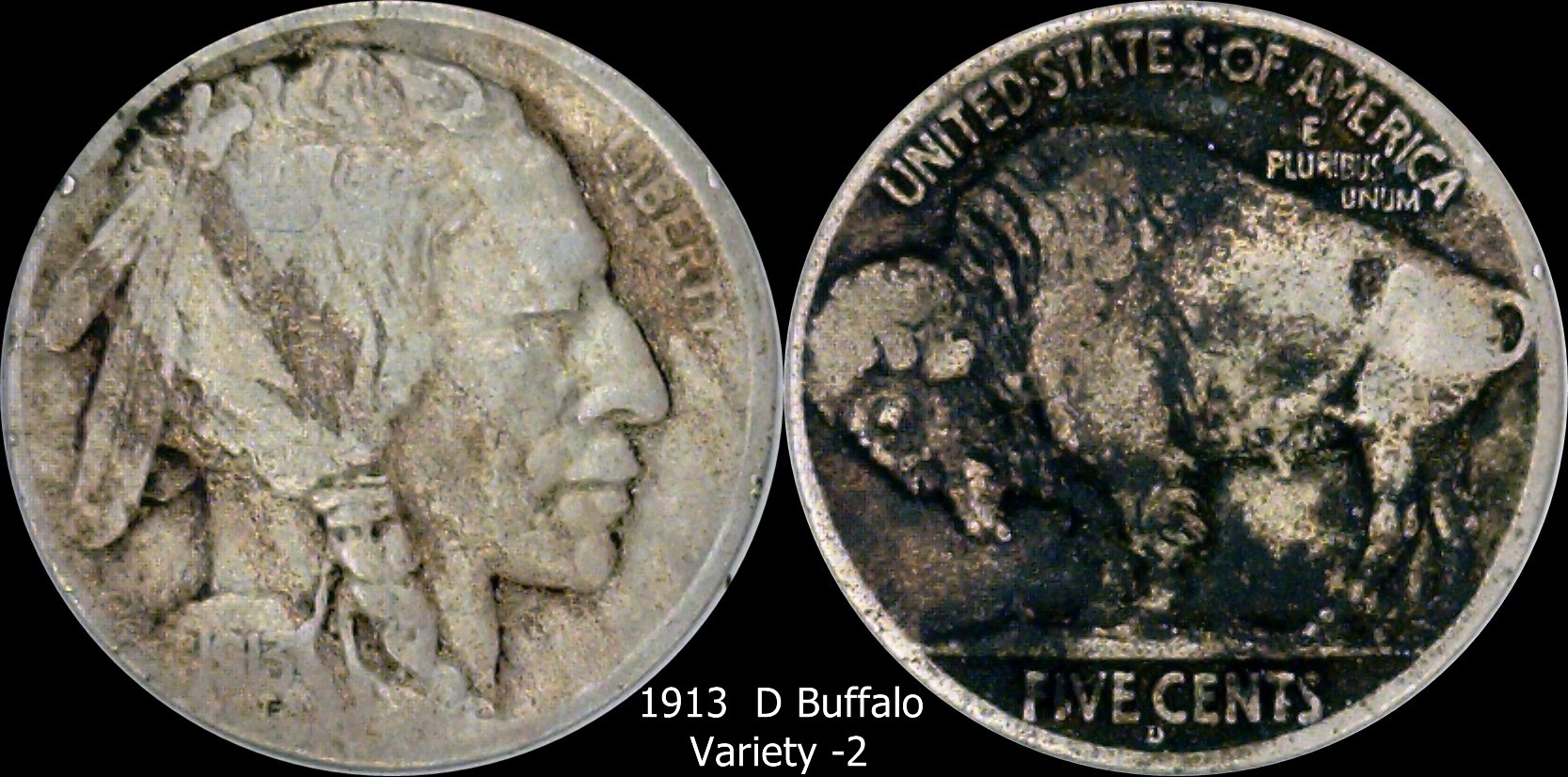 1913 D Variety 2 Buffalo.jpg