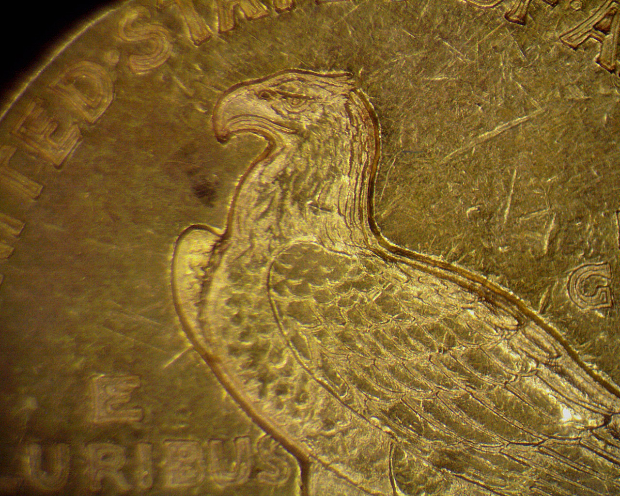 1913 Indian Head (6).jpg