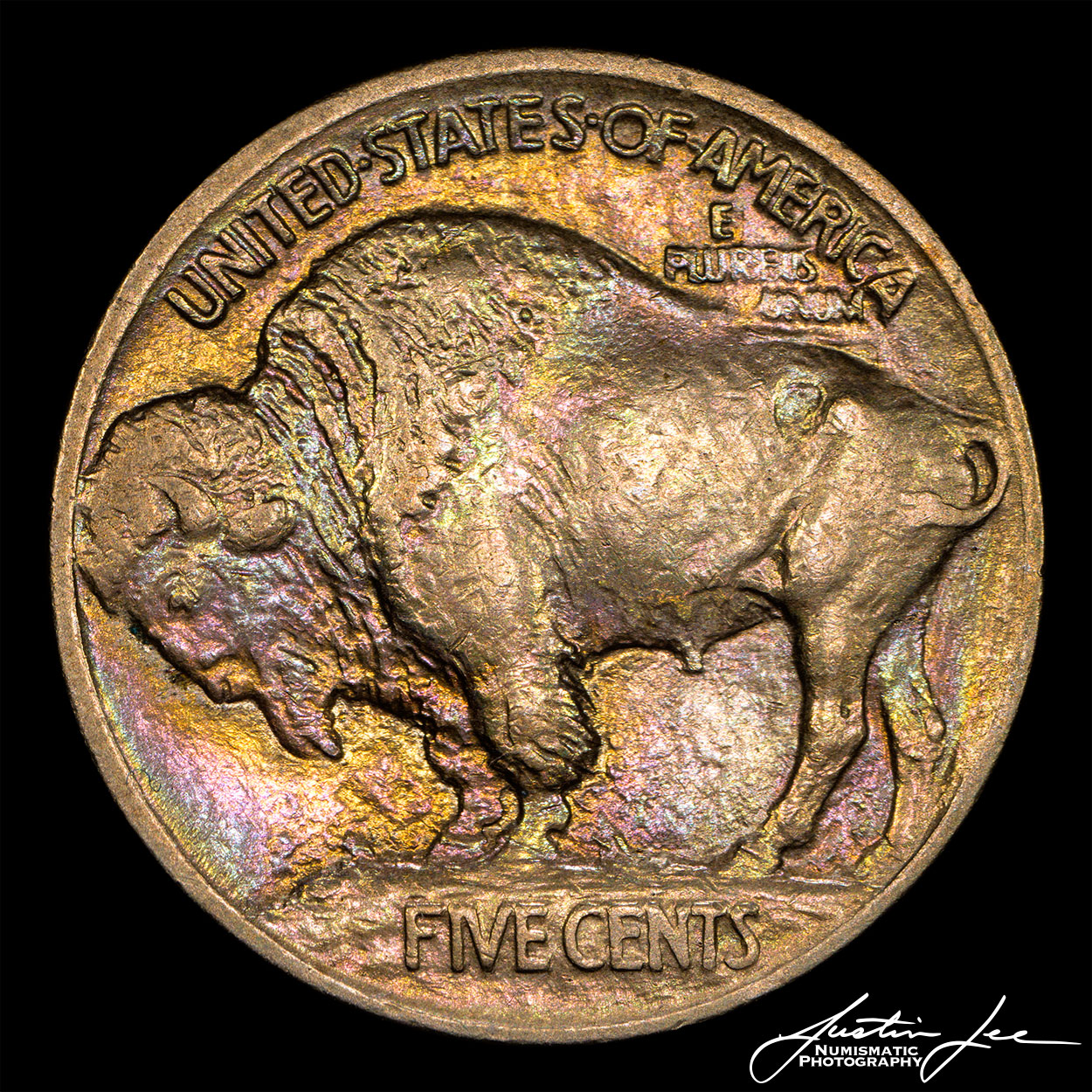 1913-Type-1-Buffalo-Nickel-3-Reverse.jpg