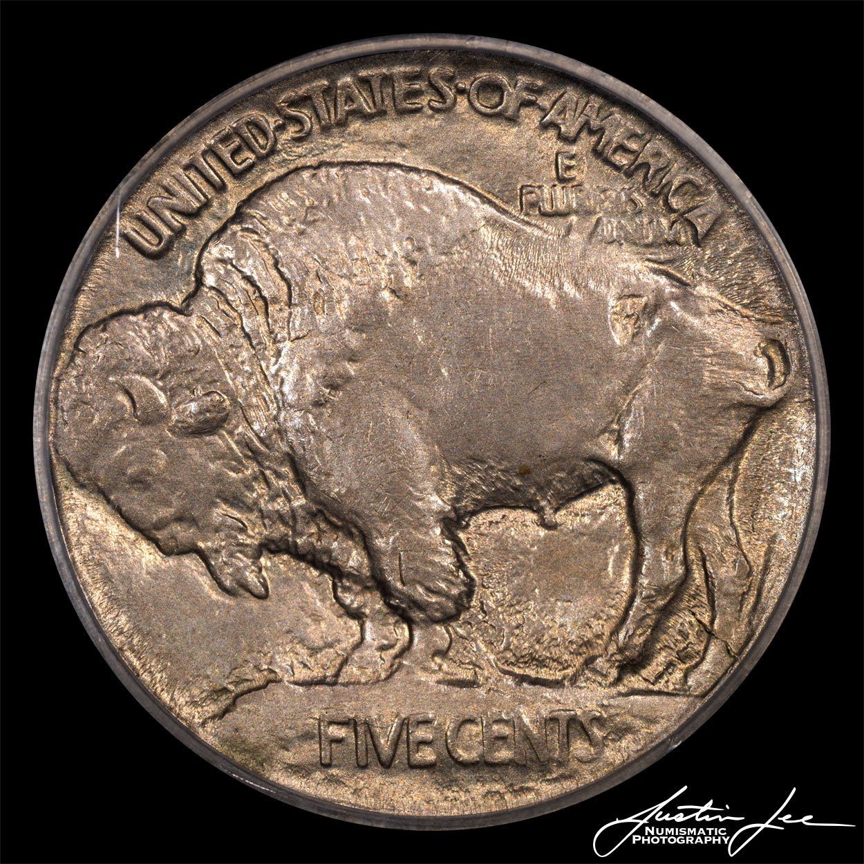 1913-Type-1-Buffalo-Nickel-#4-Reverse.jpg