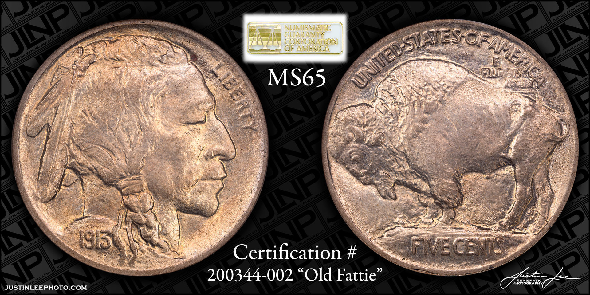 1913-Type-1-Buffalo-Nickel-NGC-MS-65.jpg