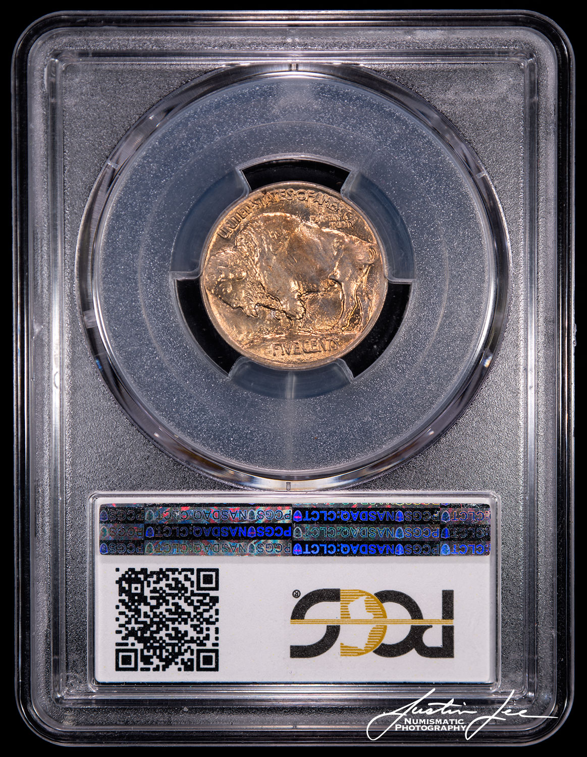 1913-Type-1-Buffalo-Nickel-PCGS-MS64-Slab-Back.jpg