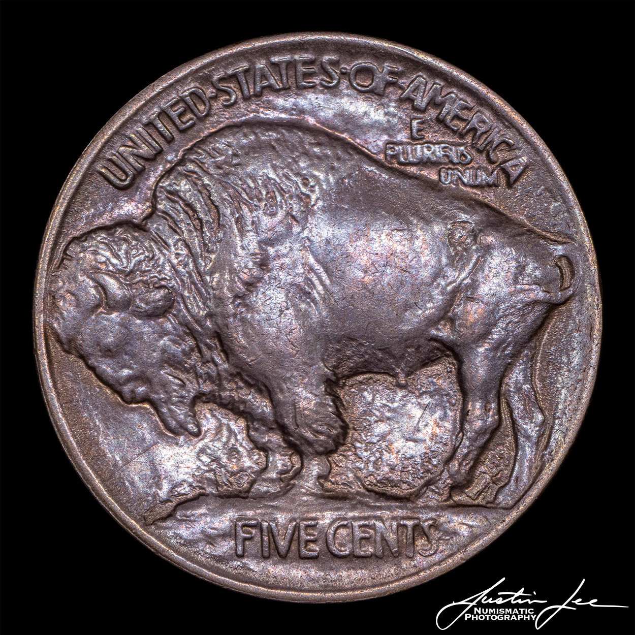 1913-Type-1-Buffalo-Nickel-Reverse.jpg