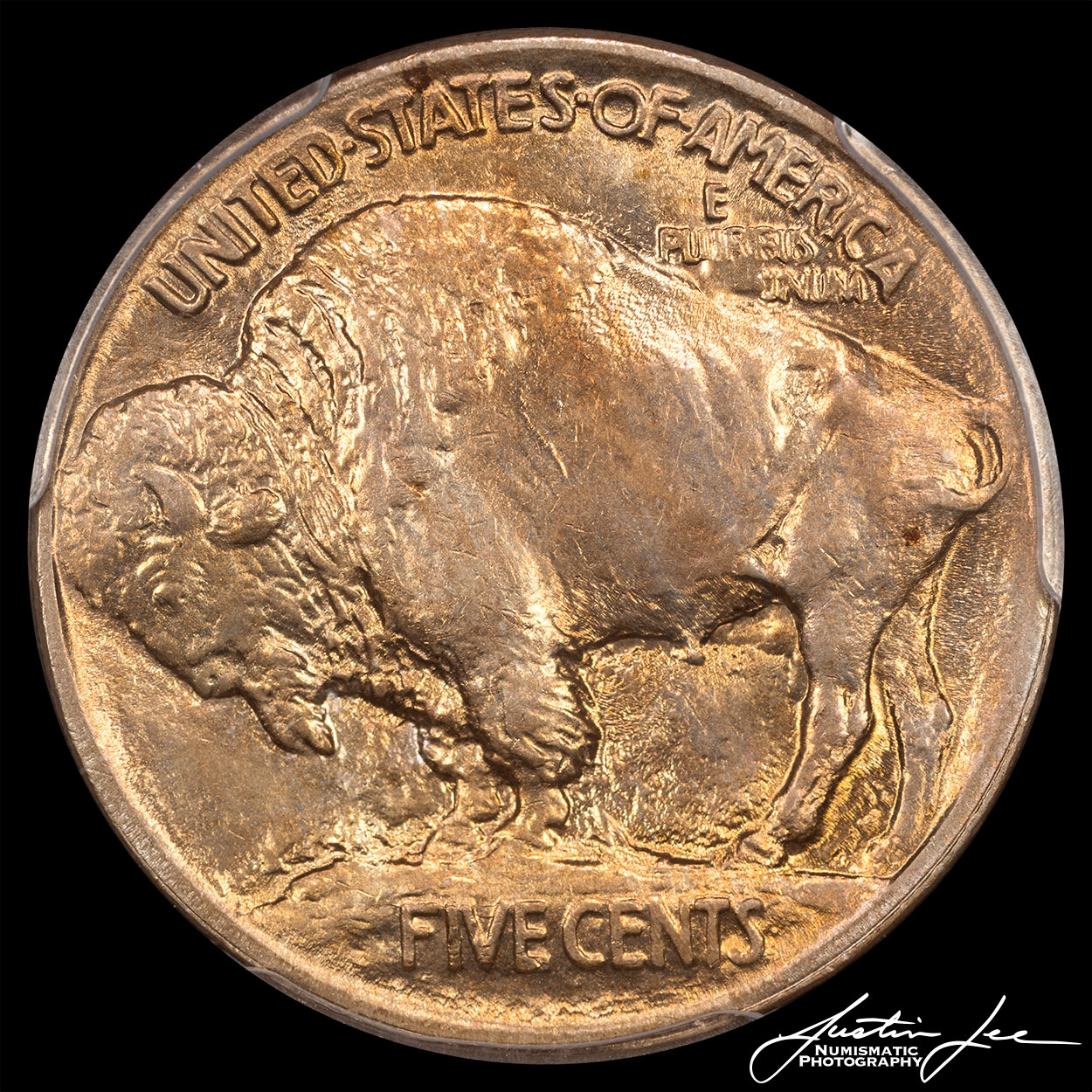1913-Type-1-Buffalo-Nickel-Reverse.jpg