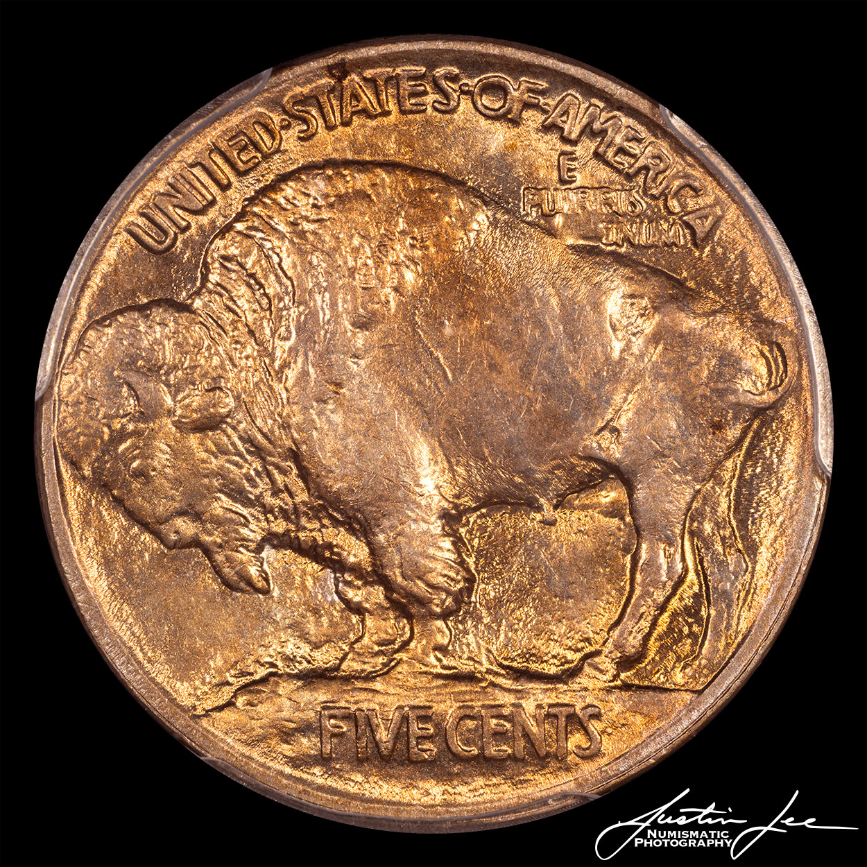 1913-Type-1-Buffalo-Nickel-Reverse.jpg