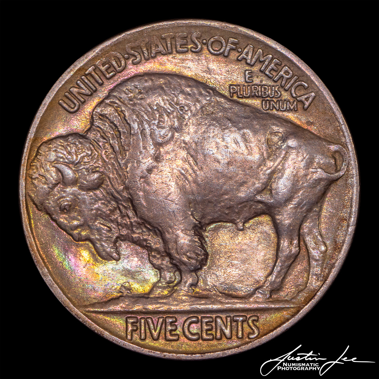 1913-Type-2-Buffalo-Nickel-Reverse.jpg
