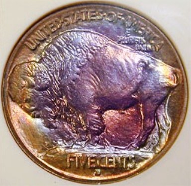 1913d_buffalo rev.jpg