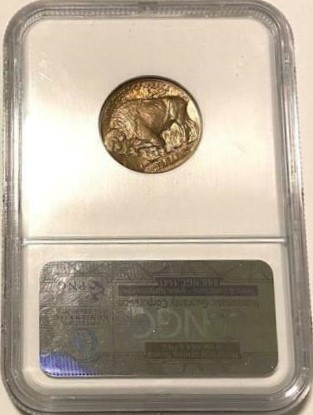 1913r.jpg