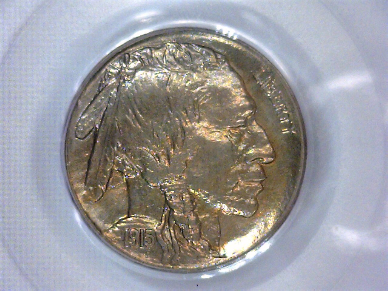 1915 Buffalo Obv..jpg